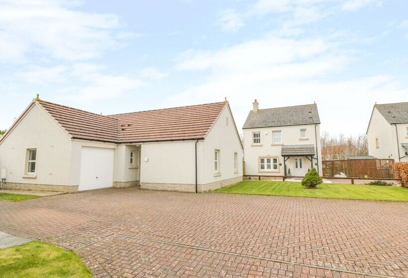 Bright And Beautiful