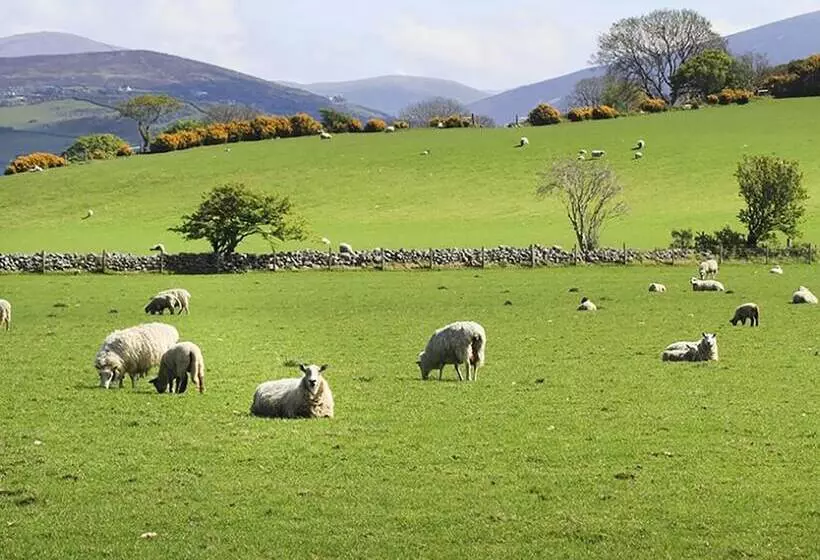 Hafod