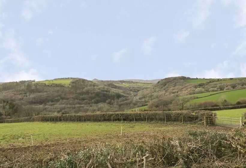 Hawthorn