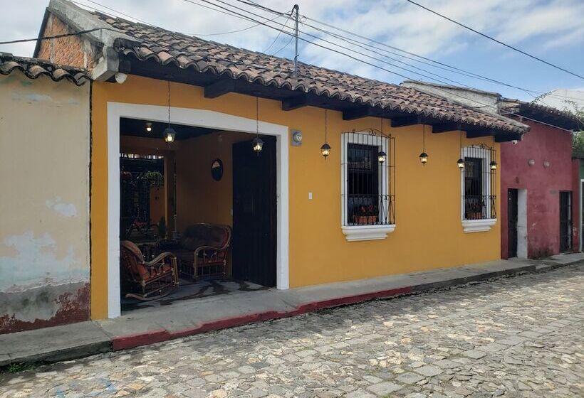 هاستل Parrot House