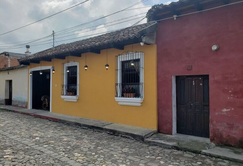 هاستل Parrot House