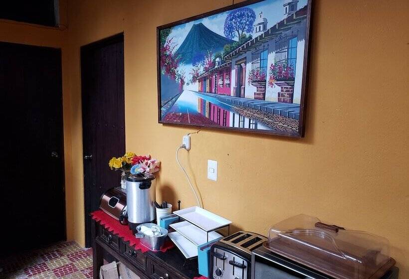 هاستل Parrot House