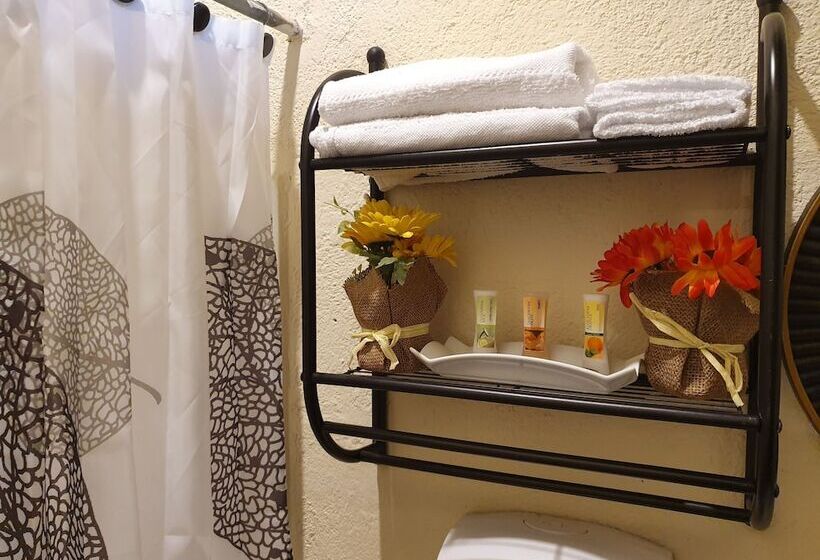 هاستل Parrot House