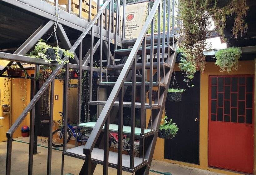 هاستل Parrot House