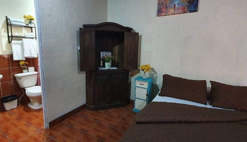 هاستل Parrot House