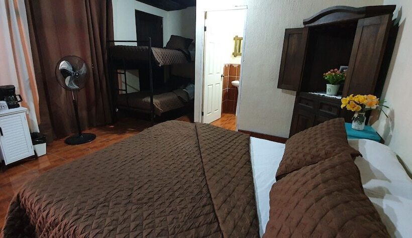 هاستل Parrot House