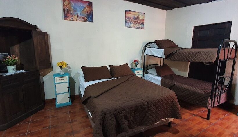 هاستل Parrot House