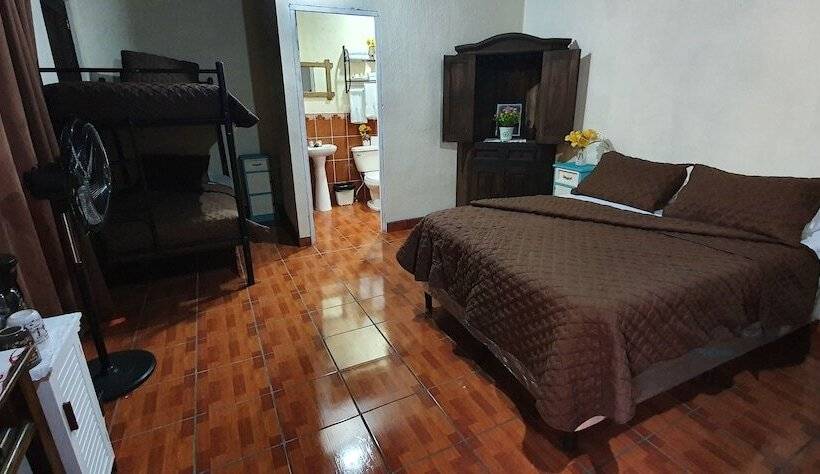 هاستل Parrot House