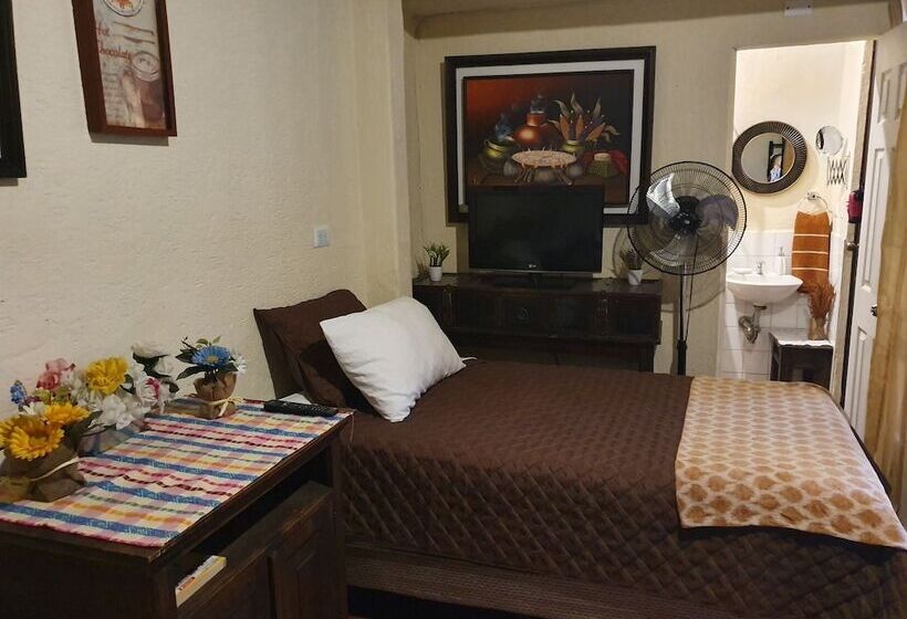 هاستل Parrot House