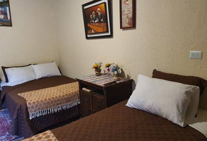 هاستل Parrot House