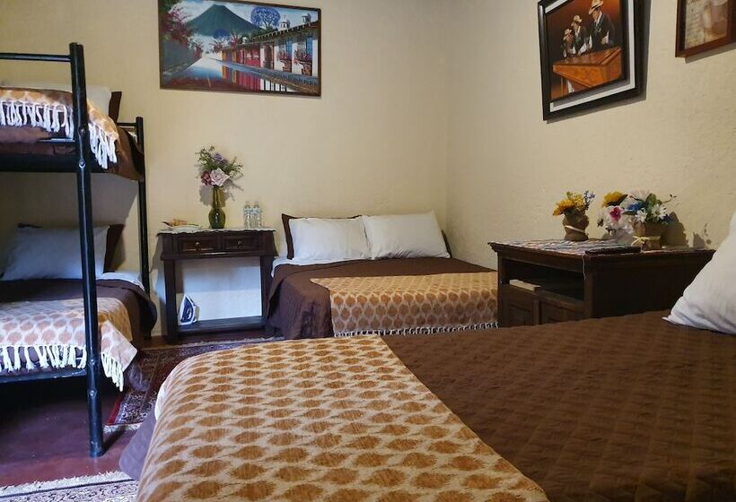 هاستل Parrot House