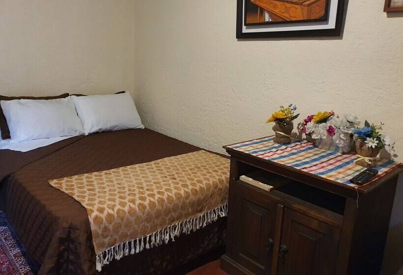 هاستل Parrot House