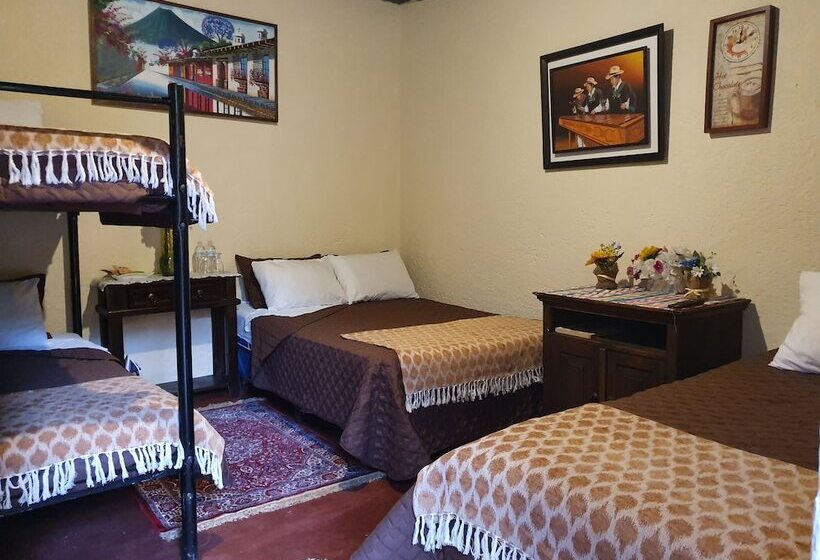 هاستل Parrot House