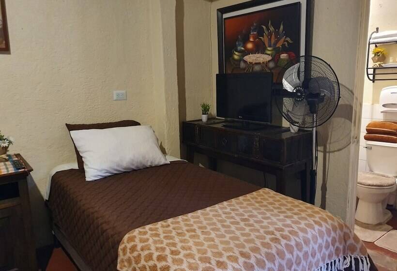 هاستل Parrot House