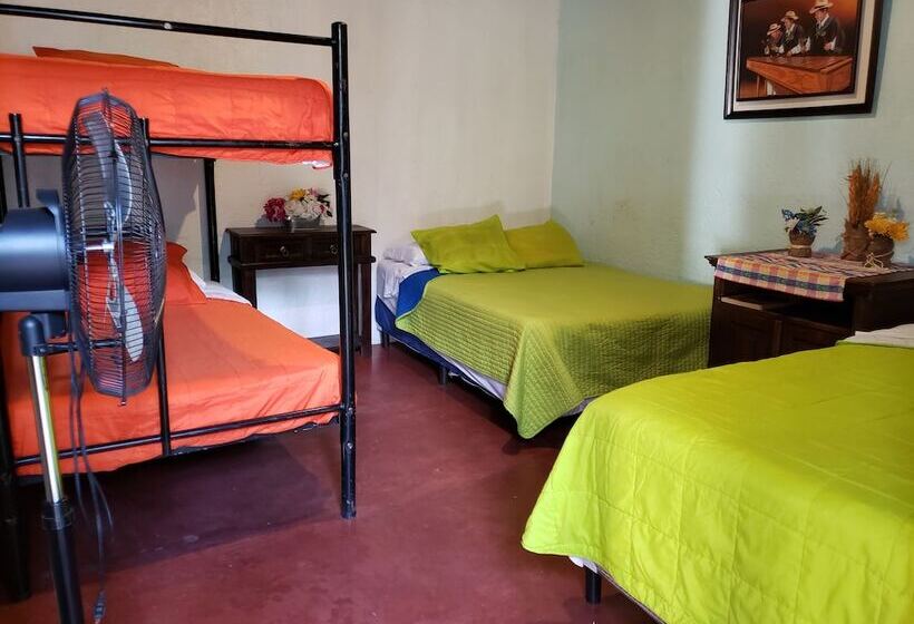 هاستل Parrot House