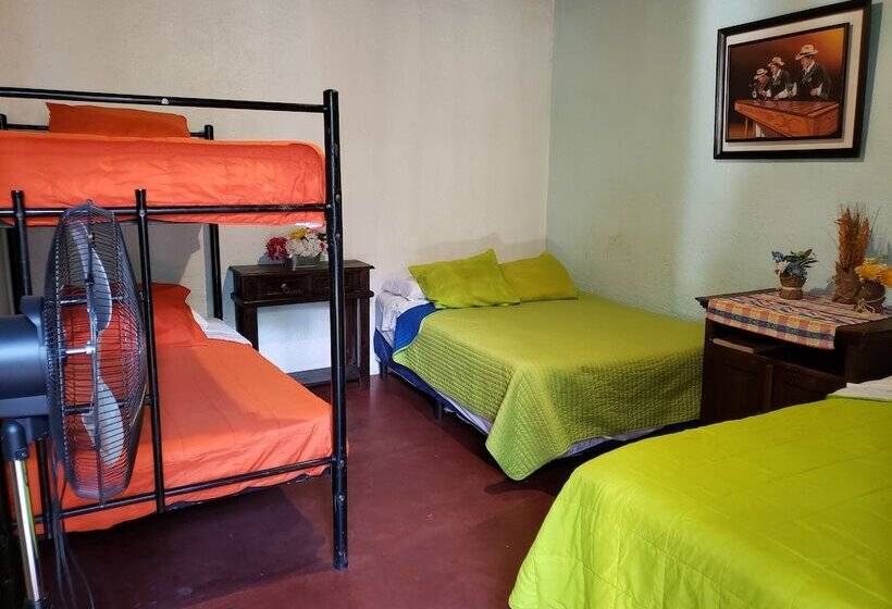 هاستل Parrot House