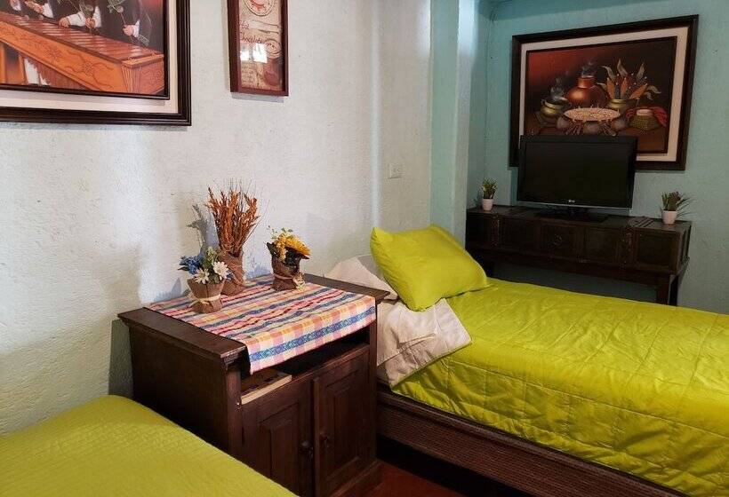 هاستل Parrot House