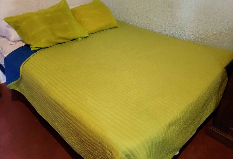 هاستل Parrot House