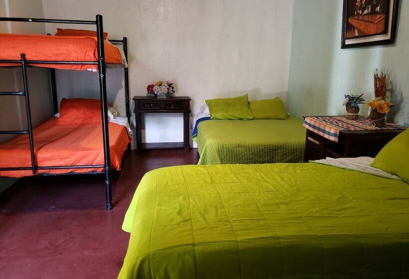 هاستل Parrot House