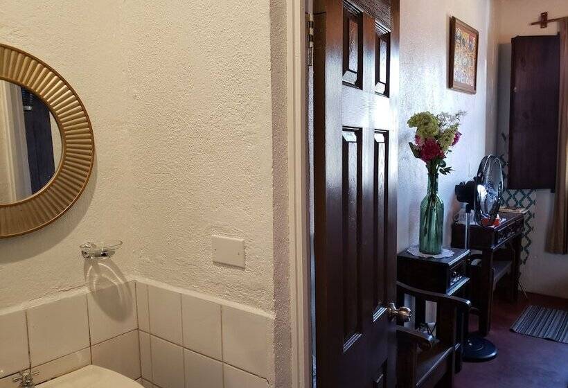 هاستل Parrot House