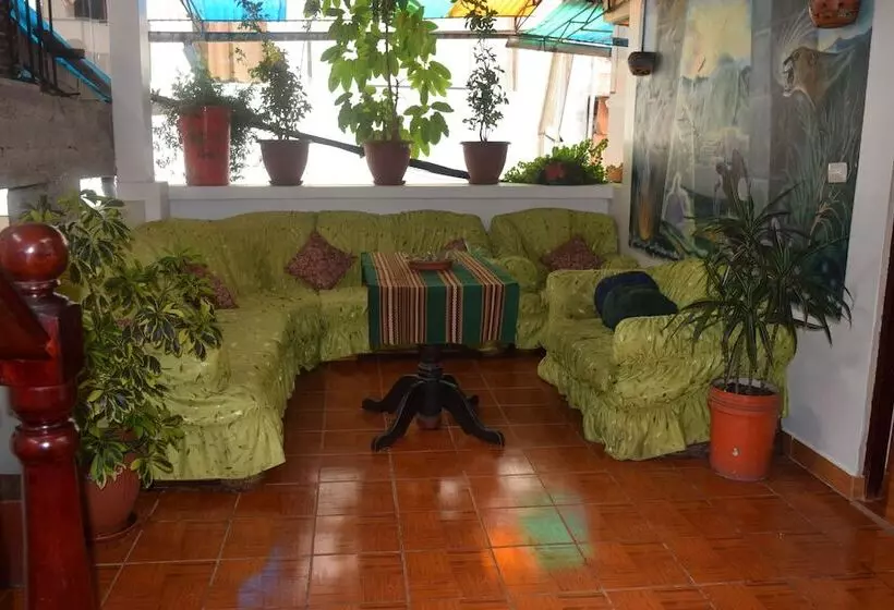 Bed & Breakfast Inti Sol