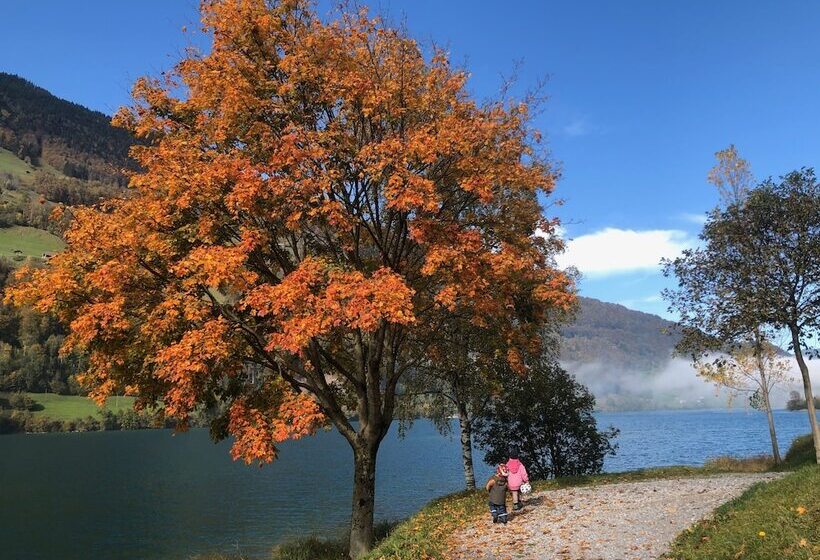 Emma S Hotel   Bed & Breakfast Self Check In