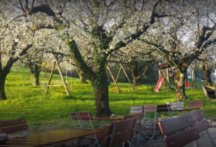 客栈  Gasthaus Seerose