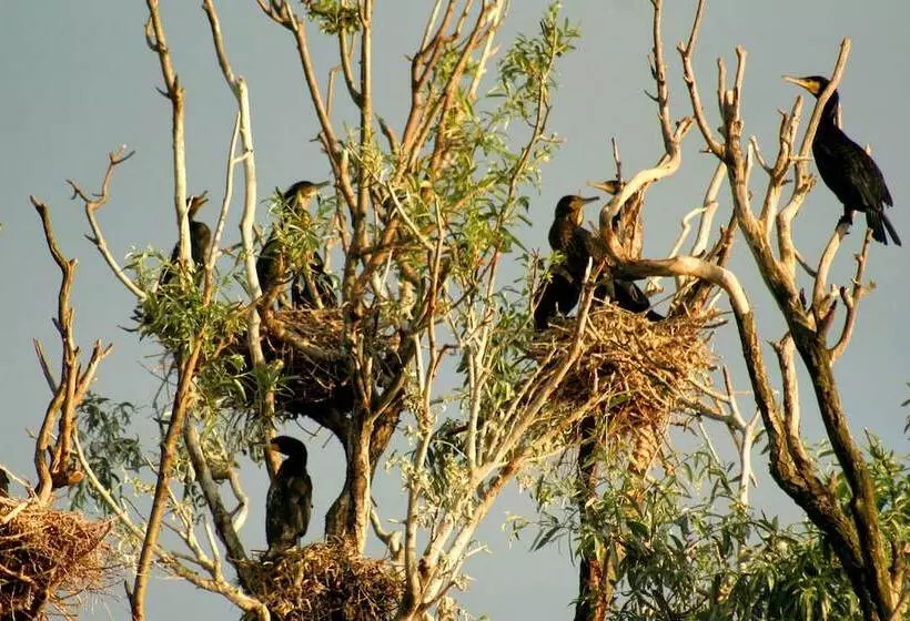 Hotelli Apartments Vrata Baranje