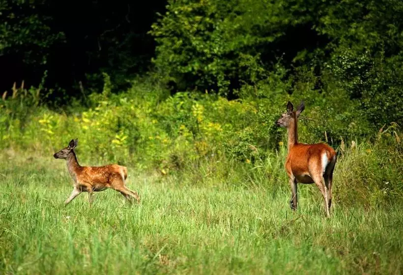 Hotelli Apartments Vrata Baranje