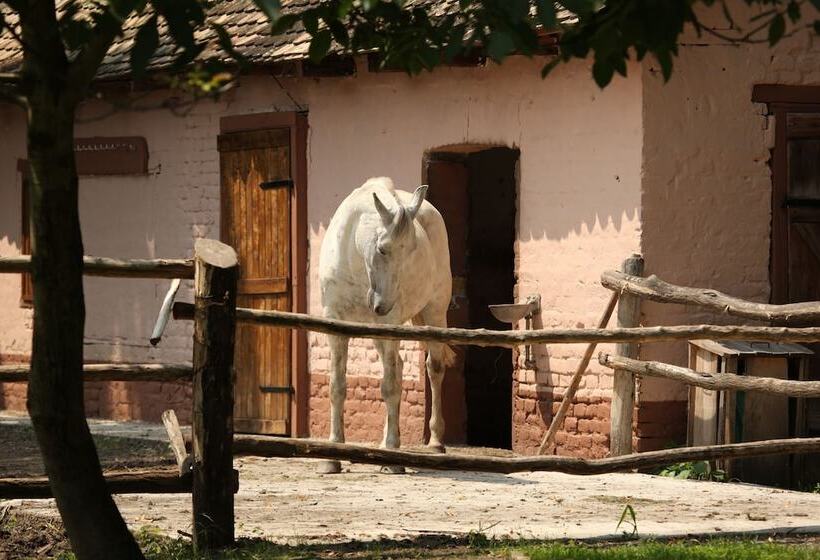 ホテル Apartments Vrata Baranje