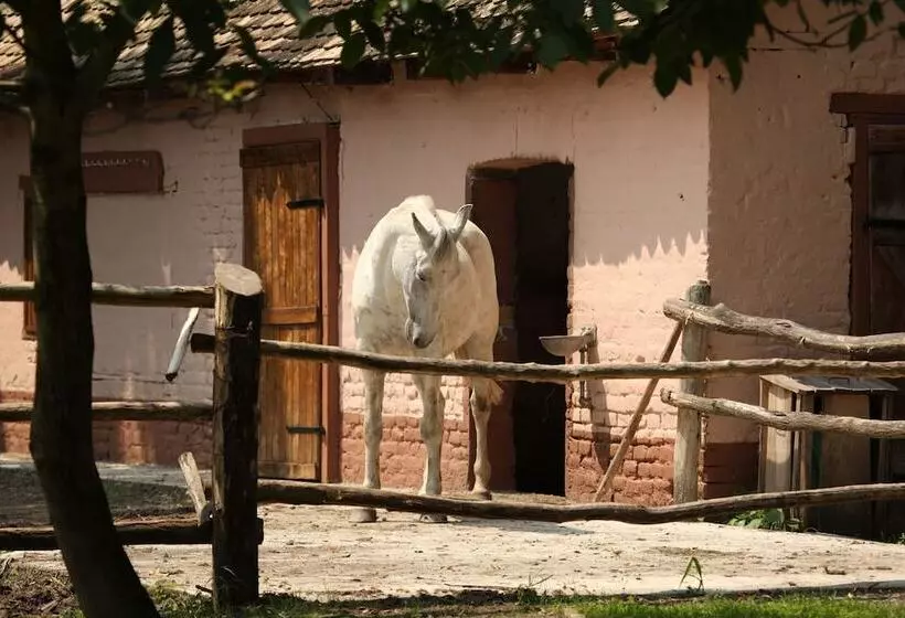 Hotelli Apartments Vrata Baranje