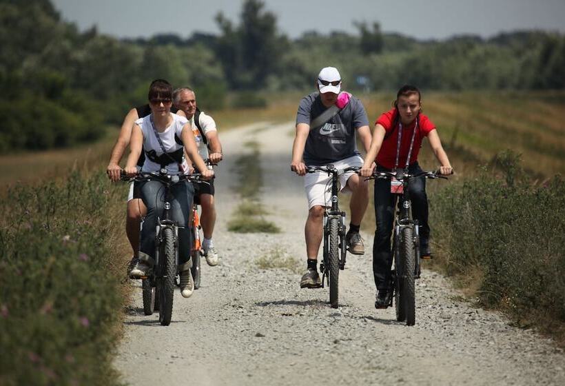 ホテル Apartments Vrata Baranje