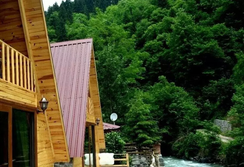 ホテル Foga Bungalov