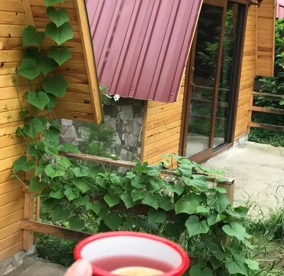ホテル Foga Bungalov