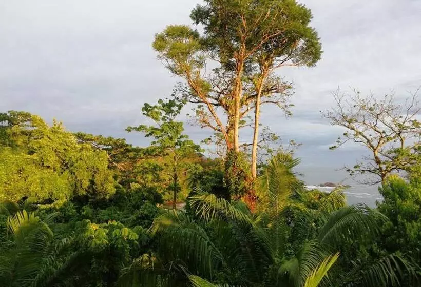 هتل Garden Of Heliconias Lodge