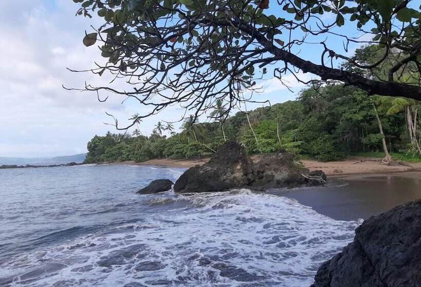 בית מלון כפרי Garden Of Heliconias Lodge