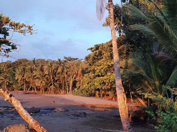 בית מלון כפרי Garden Of Heliconias Lodge