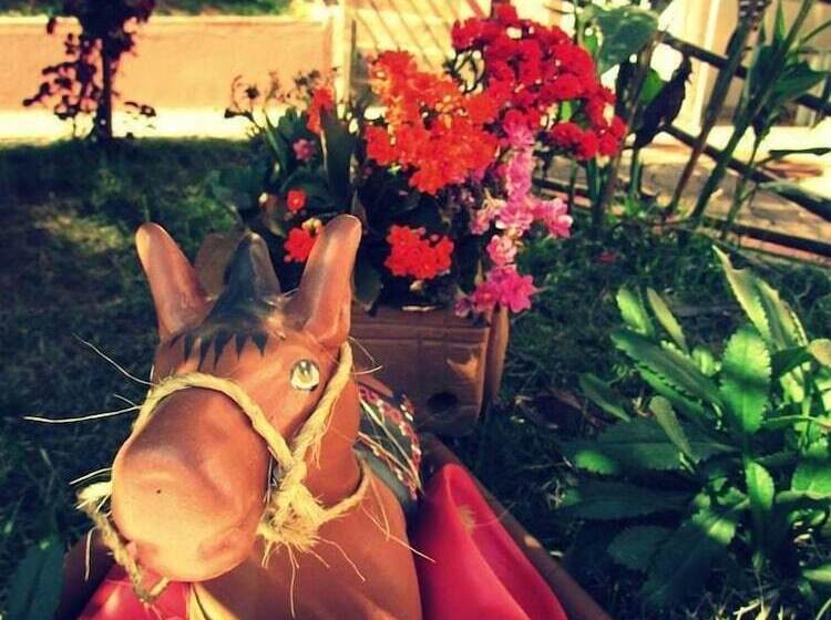 ホテル Pousada Macaco Prosa