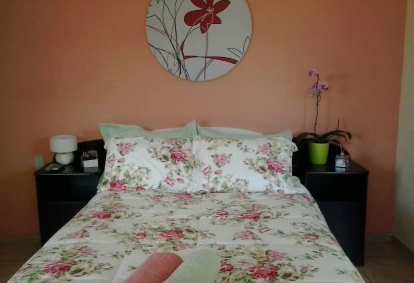 ホテル Pousada Macaco Prosa