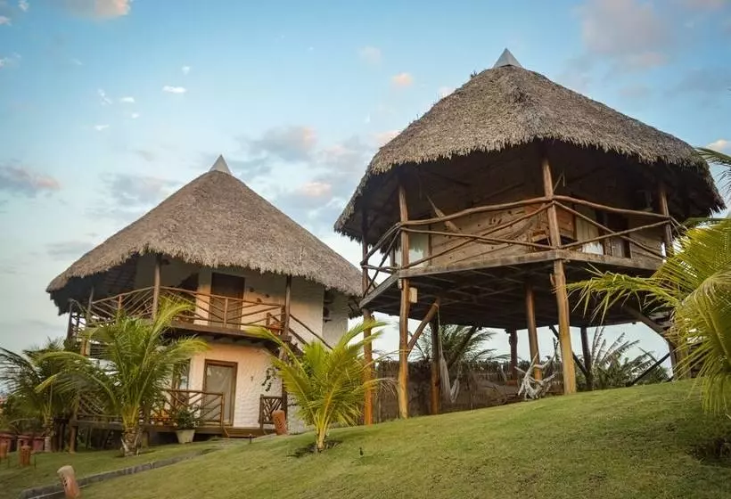 ホテル Pousada Theodora