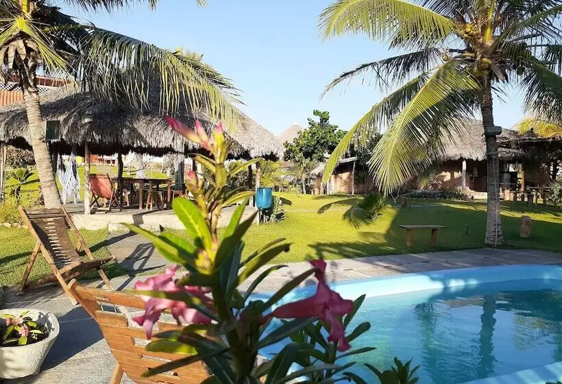 ホテル Pousada Theodora