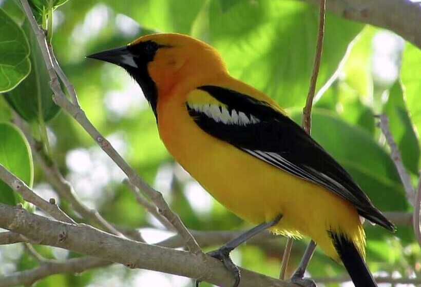 Otel Raíces Del Cielo Oasis Holístico