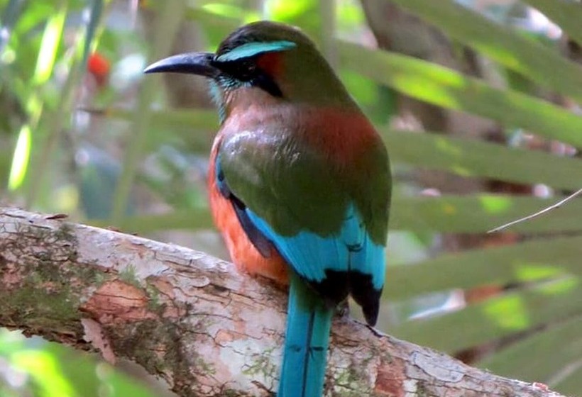 Otel Raíces Del Cielo Oasis Holístico