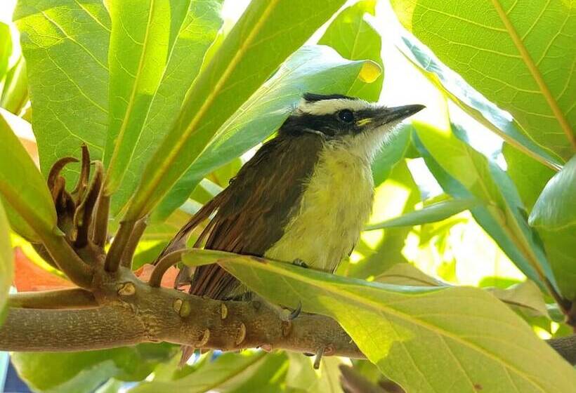 Otel Raíces Del Cielo Oasis Holístico