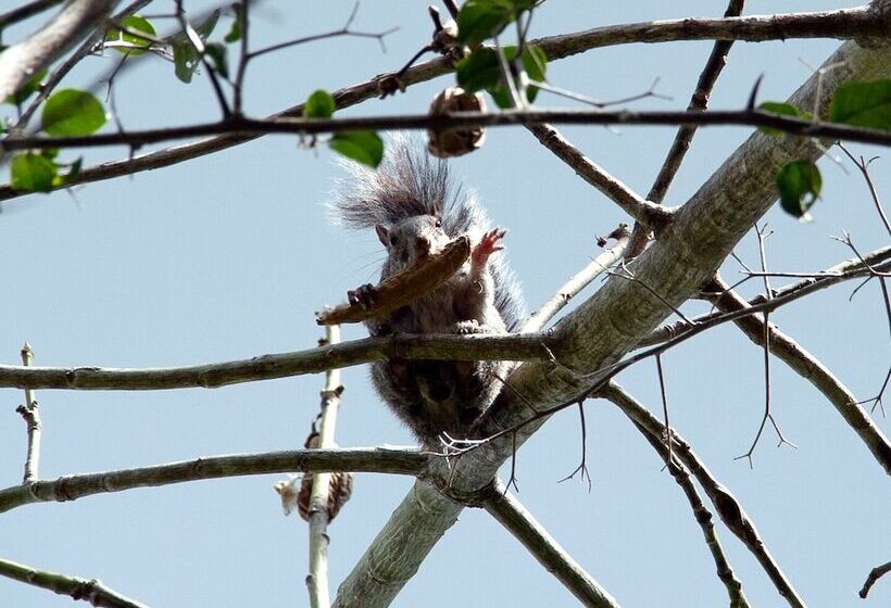 Otel Raíces Del Cielo Oasis Holístico