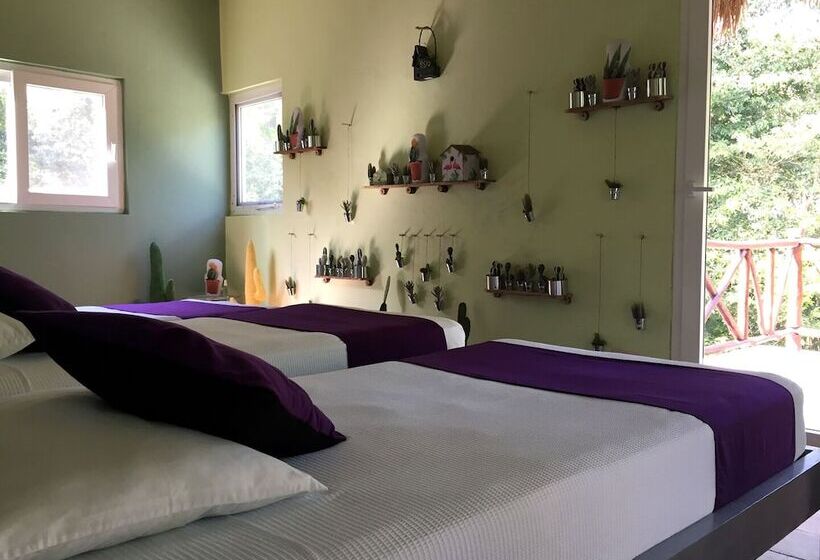 Otel Raíces Del Cielo Oasis Holístico