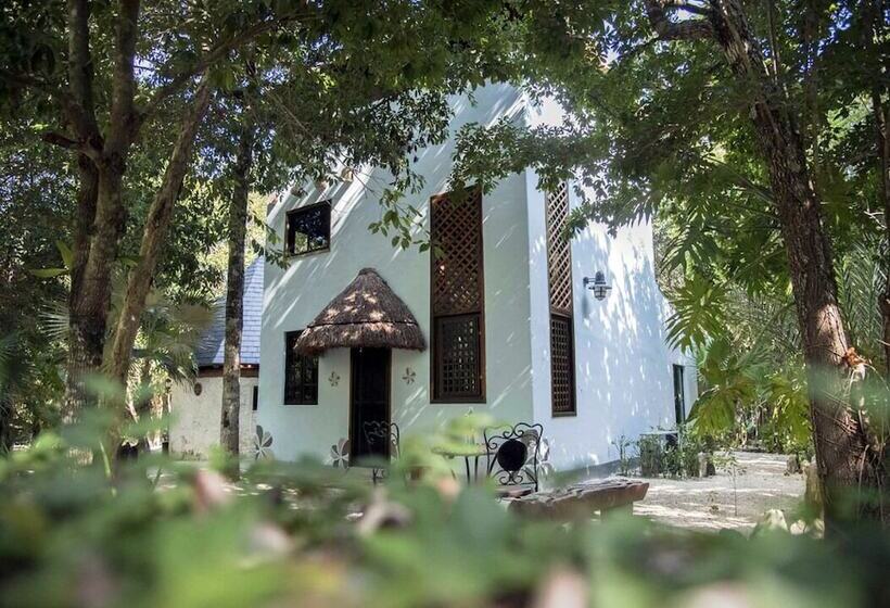 Otel Raíces Del Cielo Oasis Holístico