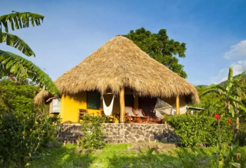 هتل Totoco Eco Resort