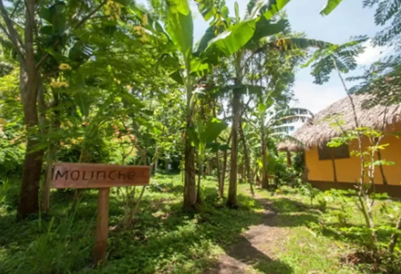 هتل Totoco Eco Resort
