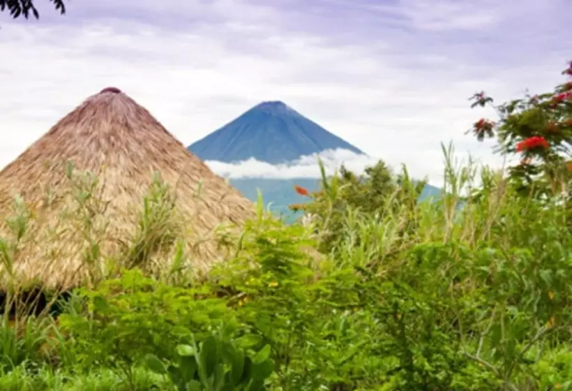 هتل Totoco Eco Resort